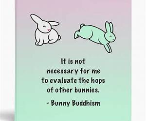 Bunny Buddhism: Hopping Along the Path to Enlightenment