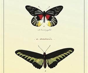 Butterflies on the Roof of the world: A Memoir Butterflies on the Roof of the world: A Memoir