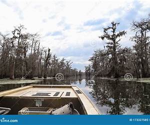 Cajun Vacation