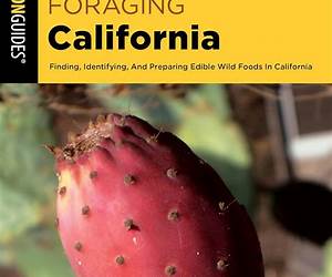 California Foraging: Easy-To-Find Wild Edibles from Coast Strawberries to Wild Spinach
