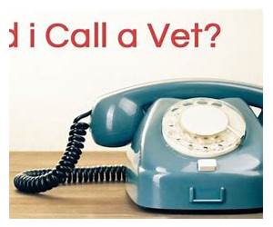 Call the Vet: Farmers, Dramas and Disasters – My First Year as a Country Vet Call the Vet: Farmers, Dramas and Disasters – My First Year as a Country Vet
