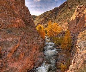 Canyon of Dreams: Stories from Grand Canyon History