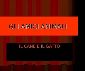C'era un gatto che non c'era: Misteri e meraviglie della fisica quantistica C'era un gatto che non c'era: Misteri e meraviglie della fisica quantistica