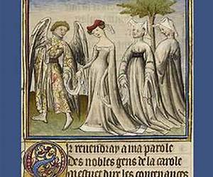 Chaucer and Array: Patterns of Costume and Fabric Rhetoric in The Canterbury Tales, Troilus and Criseyde and Other Works (Chaucer Studies)