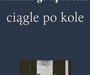 Ciągle po kole. Rozmowy z żołnierzami getta warszawskiego
