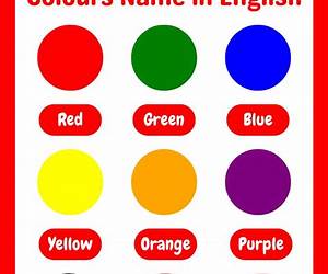 Colours (Usborne Lift-the-Flap) Colours (Usborne Lift-the-Flap)