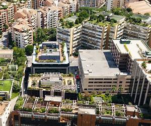 Compact Cities: Sustainable Urban Forms for Developing Countries (Compact City)