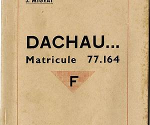Dachau Matricule 77044