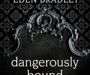 Dangerously Bound (Dangerous, #1)