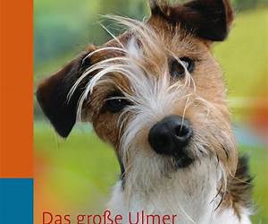 Das große Ulmer Hundebuch Das große Ulmer Hundebuch