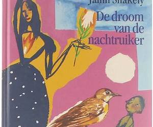 De droom van de nachtruiker