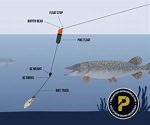 Dead Bait 3