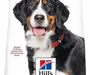 Dogs, dogs, Dogs