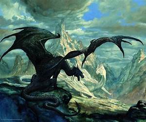 Dragon's Dialogue