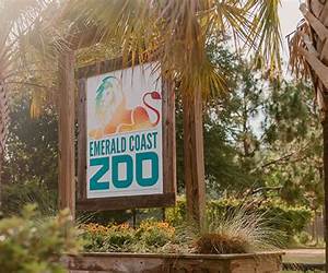 Emerald Coast: To Kill an Actress