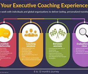 Executive Coaching and the Process of Change: A Practioner's Guide Executive Coaching and the Process of Change: A Practioner's Guide