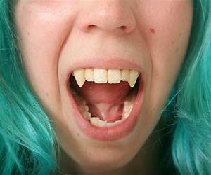Fangs (Pack Rulez, #3)