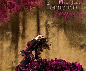 Flamenco Fantasy