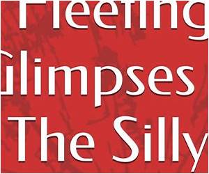 Fleeting Glimpses of The Silly, Sentimental and Sublime
