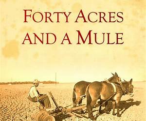 Forty Acres and a Mule