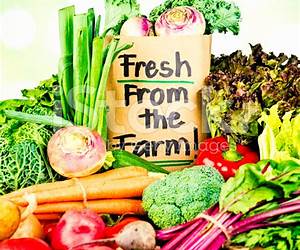 Fresh from the Farm: A Year of Recipes and Stories
