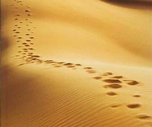 From Medina to Karbala: In the words of Imam al-Husayn From Medina to Karbala: In the words of Imam al-Husayn