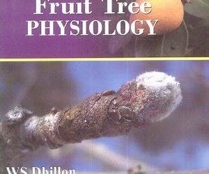 Fruit Tree Physiology