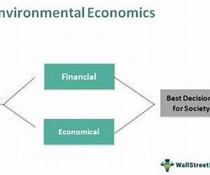 Fundamentals of Environmental Economics: Matthew E. Kahn