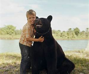 Gentle Ben (1968) comic books