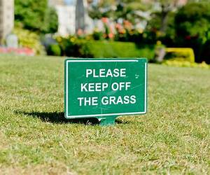 Get off the Grass: Kickstarting New Zealand's Innovation Economy
