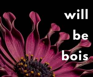 Girls Will Be BoisThree Lusty Tales of Butch Driven Erotica