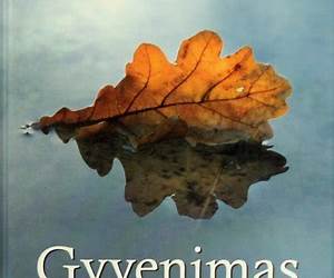 Gyvenimas be stogo Gyvenimas be stogo