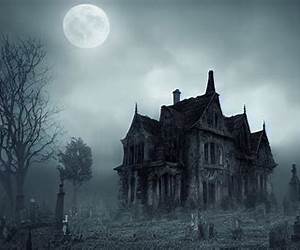Haunted by Brynn Stein