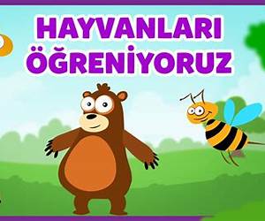 Hayvan! (Aşk, Ayrılık, İhanet, Seks) Hayvan! (Aşk, Ayrılık, İhanet, Seks)