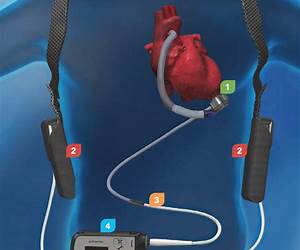 Heart of a Mate (Scent of a Mate #4) Heart of a Mate (Scent of a Mate #4)