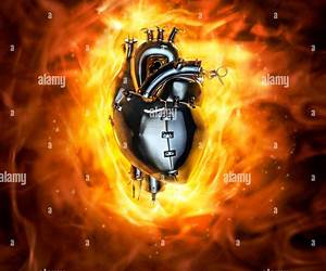 Heavy Metal Heart (Demon Rock, #1)