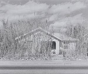 Henry Wessel: Incidents