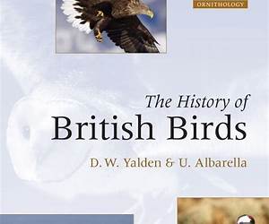 History of British Birds: Volume 2, Containing the History and Description of Water Birds (Cambridge Library CollectionZoology) History of British Birds: Volume 2, Containing the History and Description of Water Birds (Cambridge Library CollectionZoology)