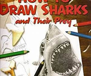 How To Draw Sharks and Their Prey How To Draw Sharks and Their Prey