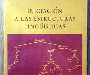 Iniciación a las estructuras lingüísticas