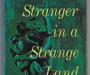 Into a Strange Land (The McGunnegal Chronicles, #1)