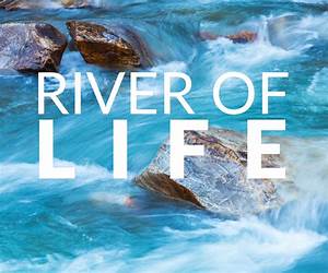 Into the River of Life: A Biography of Ian Player Into the River of Life: A Biography of Ian Player