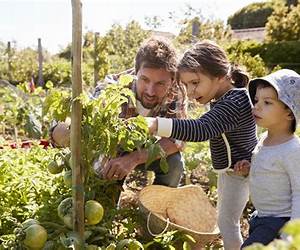 Kids Who Grow Their Own Food: Facts, Notes and Helpful Hints Kids Who Grow Their Own Food: Facts, Notes and Helpful Hints