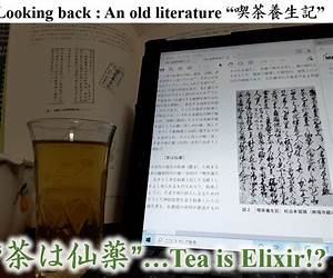 Kissa Yojoki How to Stay Healthy by Drinking Tea Kissa Yojoki How to Stay Healthy by Drinking Tea