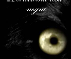 La última rosa negra