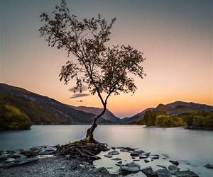 Landscape, Well-Being and Environment