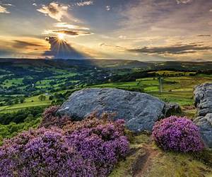 Landscape, Well-Being and Environment
