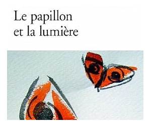 Le Papillon et la Lumière Le Papillon et la Lumière