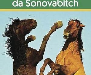 Let's Forefoot da Sonovabitch, True Stories from Southern Saskatchewan Let's Forefoot da Sonovabitch, True Stories from Southern Saskatchewan