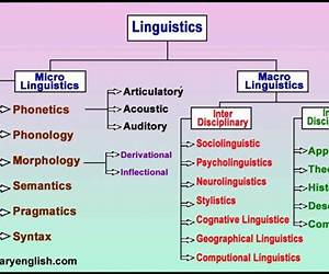 Linguistics: A Complete Introduction (Ty: Complete Courses)
